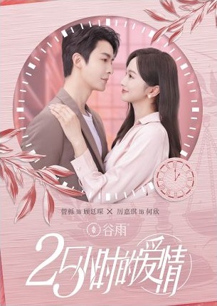 都市家庭情感微短剧25小时的爱情海报