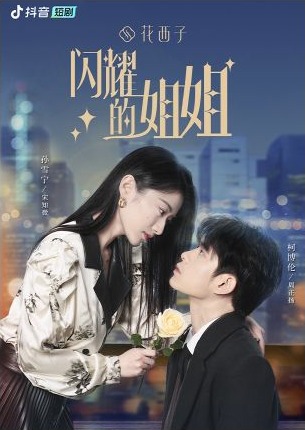 都市女性微短剧闪耀的姐姐海报
